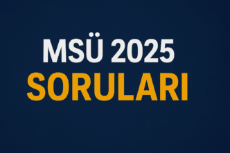 msü 2025 soruları