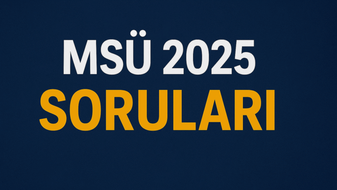 msü 2025 soruları