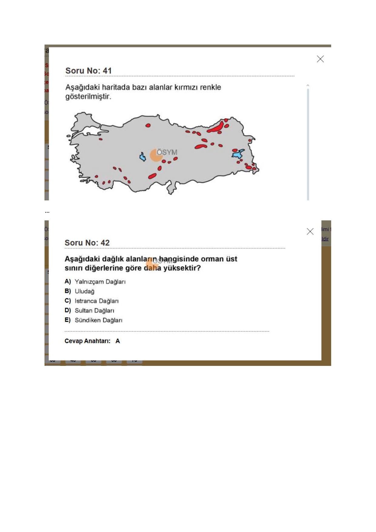 AGS Soruları